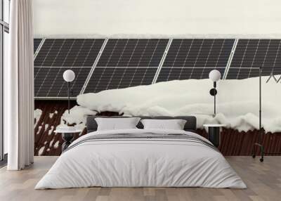 Solar panels on the roof. Wall mural