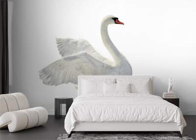 white swan. Wall mural