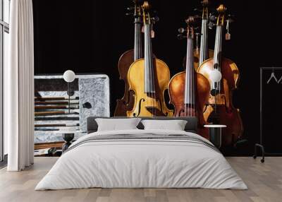 Range of violins and fiddles on a table. Wall mural