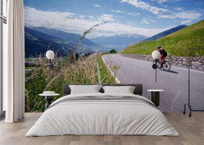 Active male tourist enjoys a scenic bicycle trip along the great alpine route. Wall mural