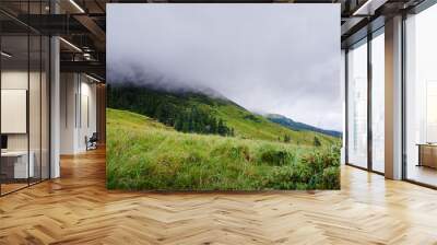 Beautiful mountains landscape with green hiils and meadows. Carpathians, Ukraine. Wall mural