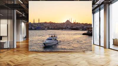 Beautiful sunset in Istanbul. Landscape  Mosque, Bosphorus Turkey Wall mural