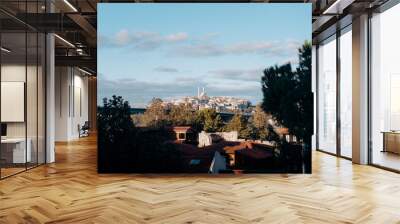 Beautiful view on the Mosque and city roofs of Istanbul Turkey Wall mural