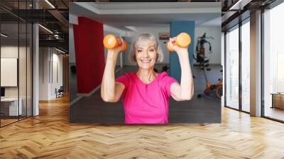 Healthy lifestyle and sport. Pretty senior woman exercising in gym. Wall mural