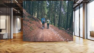 Rear view of two young people walking down the trail path on forest. Young couple hiking with backpacks. Wall mural