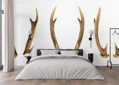 Set of deer horns isolated on the white background. Wall mural