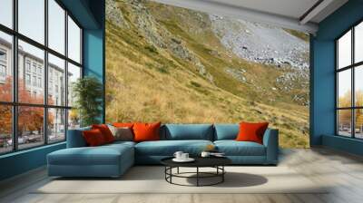 Pic Larraille - 2 Wall mural