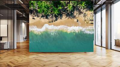 An aerial view of a tropical sandy beach with rocks palm trees and blue ocean. Location Rincon, Puerto Rico. Wall mural