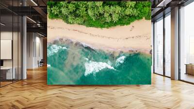 An aerial view of a tropical sandy beach with rocks palm trees and blue ocean. Wall mural