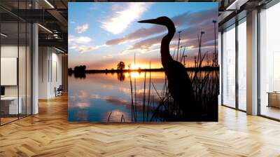 Silhouette of an egret in front of a beautiful sunset Wall mural