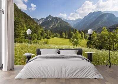 An open field with little sunflowers, trees and a mountain chain in the background in a sunny day with clouds. Wall mural