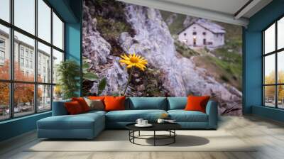 Mountain house in the Alps Wall mural