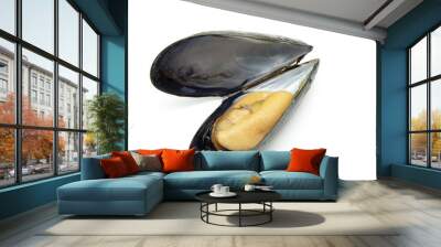 mussel Wall mural