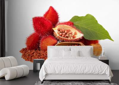 Annatto seeds in spoon - Seasoning and red food coloring. Bixa Orellana Wall mural