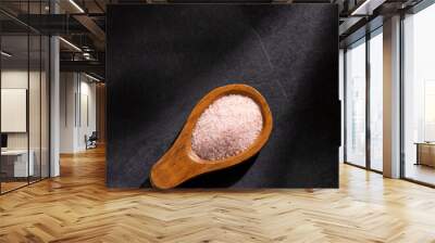 Fine pink salt from the Himalaya - Text space Wall mural