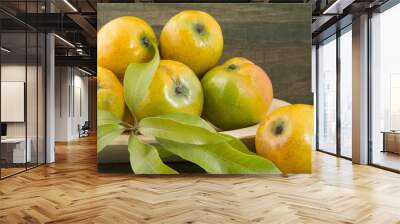 Mango tropical fruit on a wooden background Wall mural