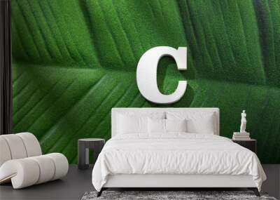 Uppercase letter C over forest tropical leaf Wall mural