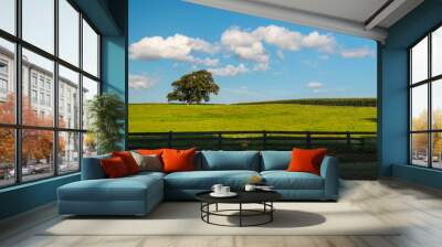 Landscape with tree on the horizon Wall mural