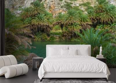 Gorgeous palm tree glade, Preveli beach (aka., Palm Beach), Southern Crete, Greece. Located at the mouuth of the Megas river, Kourtaliotiko gorge. Wall mural