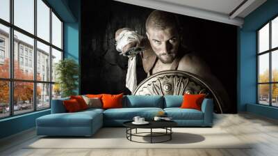 Gladiator Wall mural