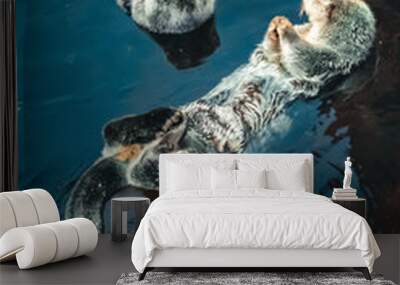 Two sea Otter floating Wall mural