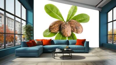 Shea nuts and leaves Wall mural