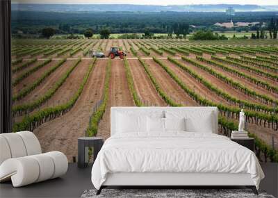 One tractor in a vineyard Wall mural