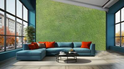 Fresh green grass texture Wall mural