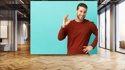 Handsome blonde man over isolated blue background showing ok sign with fingers Wall mural