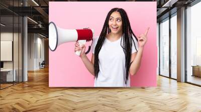 Teenager girl with braids over isolated pink background holding a megaphone and intending to realizes the solution Wall mural