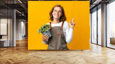 Young Georgian woman holding a plant isolated on yellow background pointing up a great idea Wall mural