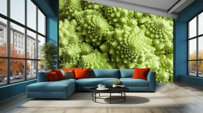 mathematics in nature Wall mural