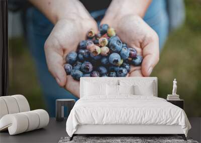 Girl holding freshly picked blueberries 2 Wall mural