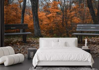 A photograph of two wooden benches placed on an autumn park path, surrounded by fallen leaves in shades of orange and brown Wall mural