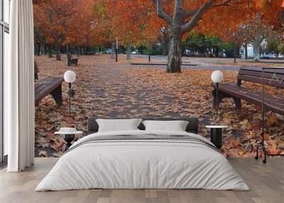 A photograph of two wooden benches placed on an autumn park path, surrounded by fallen leaves in shades of orange and brown Wall mural