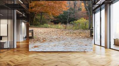 A photograph of two wooden benches placed on an autumn park path, surrounded by fallen leaves in shades of orange and brown Wall mural