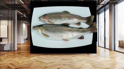 Two raw rainbow trout fish Wall mural