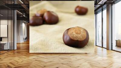 Chestnut close-up on beige cloth Wall mural