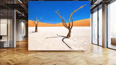 Dead Vlei in Naukluft National Park, Namibia, taken in January 2018 Wall mural