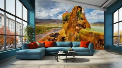 Fly Gyser Nevada Wall mural