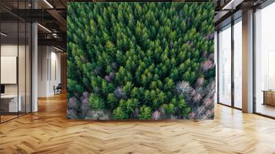 Aerial view of winter forest Wall mural