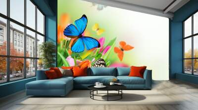 Beautiful bouquet of tulips. Wall mural