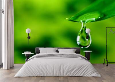 fresh green leaf with water drop, relaxation nature concept Wall mural