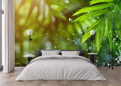 fresh green leaves with water drops over the water , relaxation with water ripple drops concept Wall mural