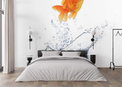 Golden fish jumping from water Wall mural