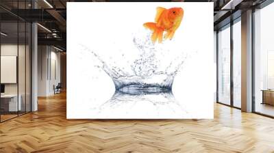 Golden fish jumping from water Wall mural