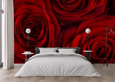 natural red roses background Wall mural