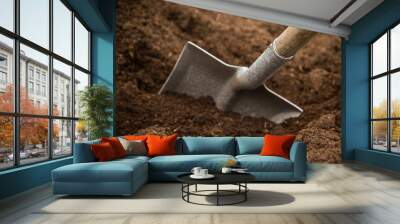 shovel in the ground Wall mural