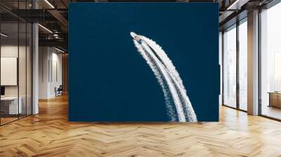 Speed boat in mediterranean sea, aerial view Wall mural