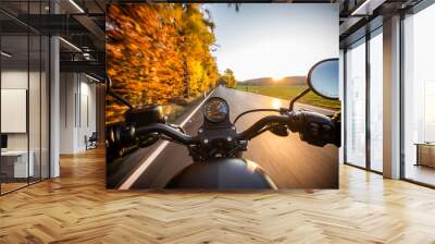 The view over the handlebars of motorcycle Wall mural